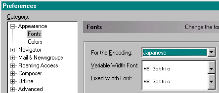 Netscape preferences